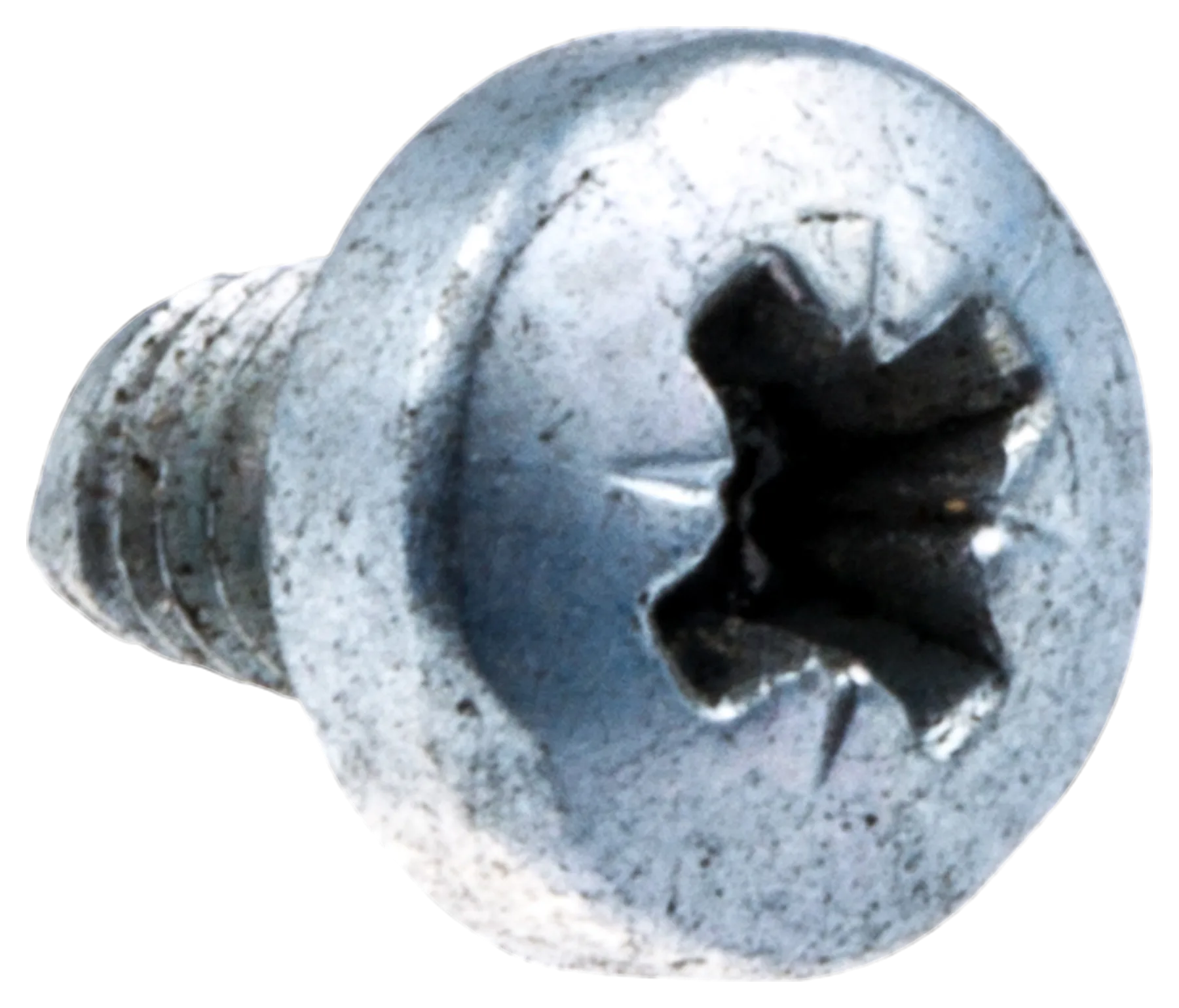 SCREW