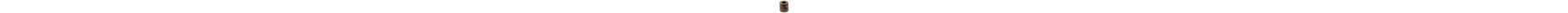 BEARING BUSH