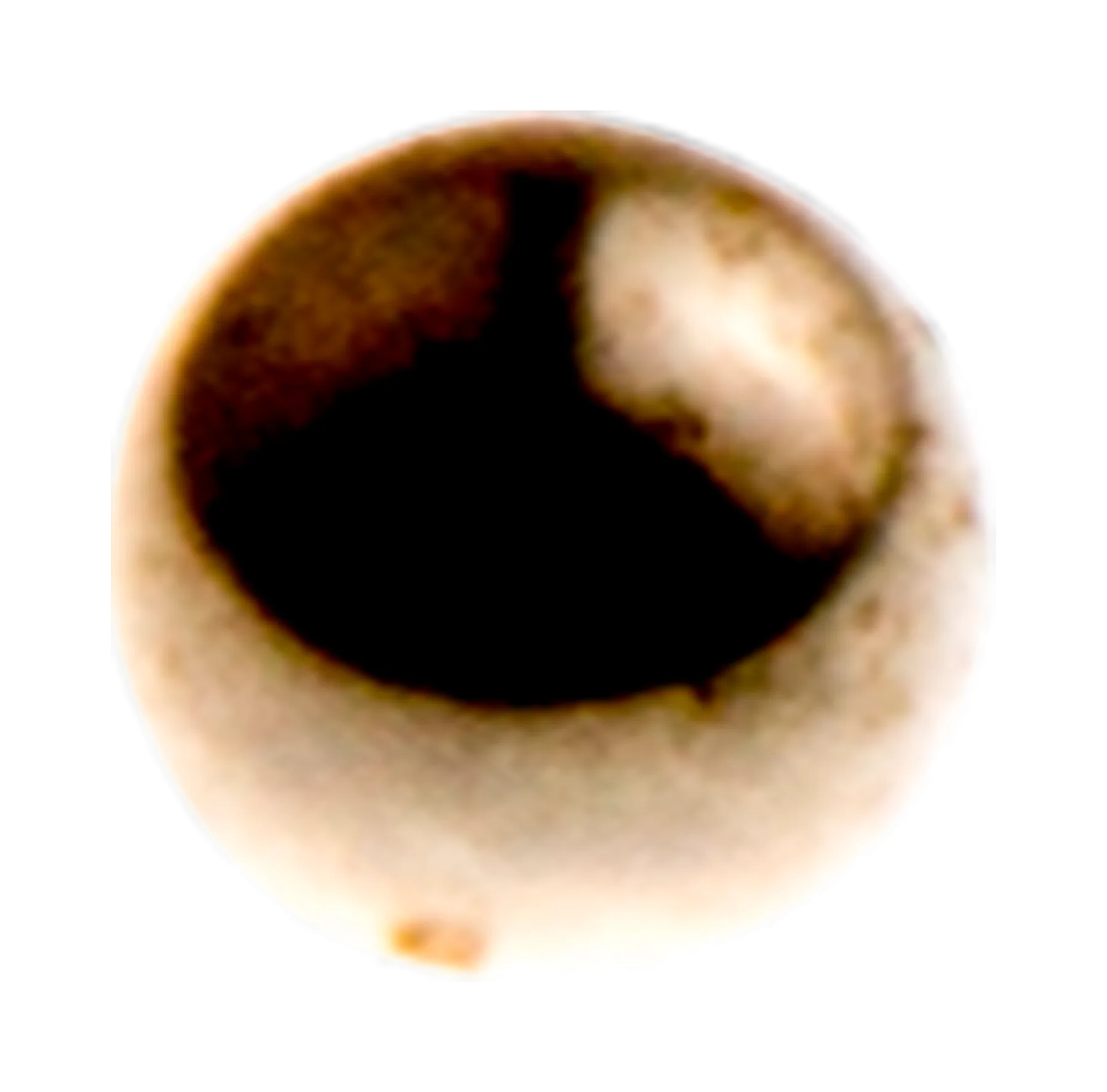 KULIČKA