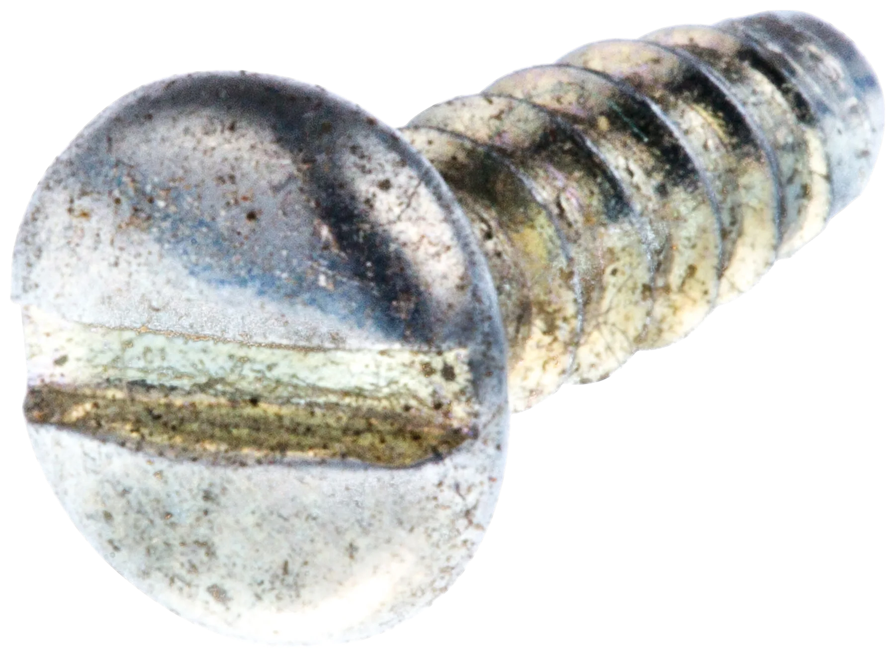 SCREW