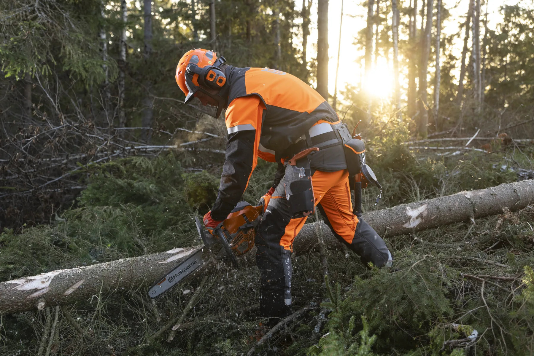 Přilba pro práci v lese Husqvarna, Technical Mips