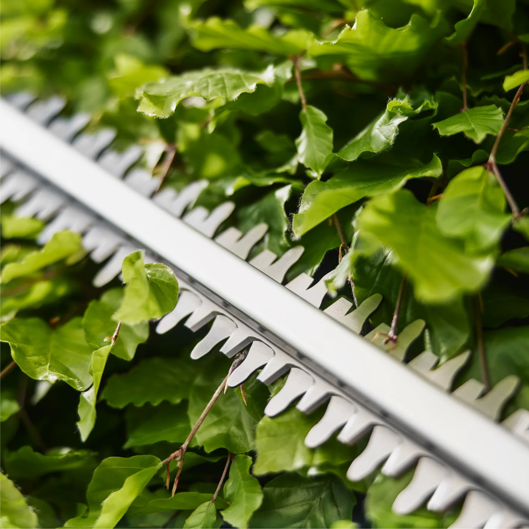 Akumulátorové nůžky na živý plot EasyCut 45/18V P4A set