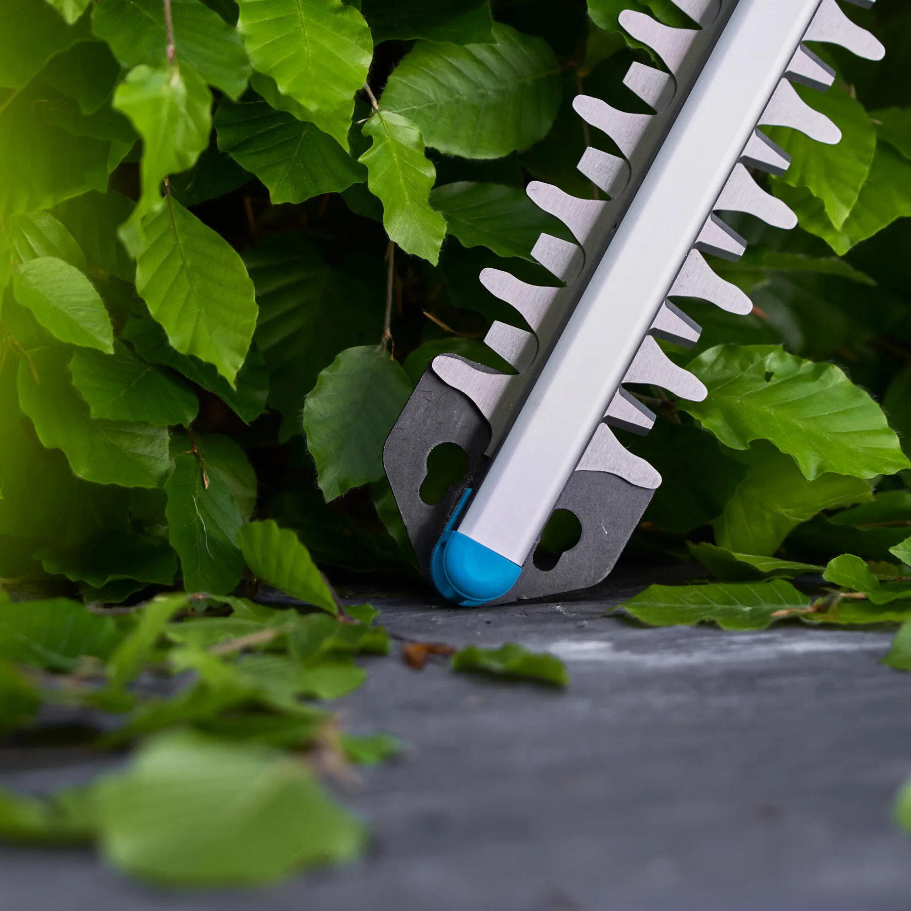 Akumulátorové nůžky na živý plot EasyCut 55/18V P4A solo