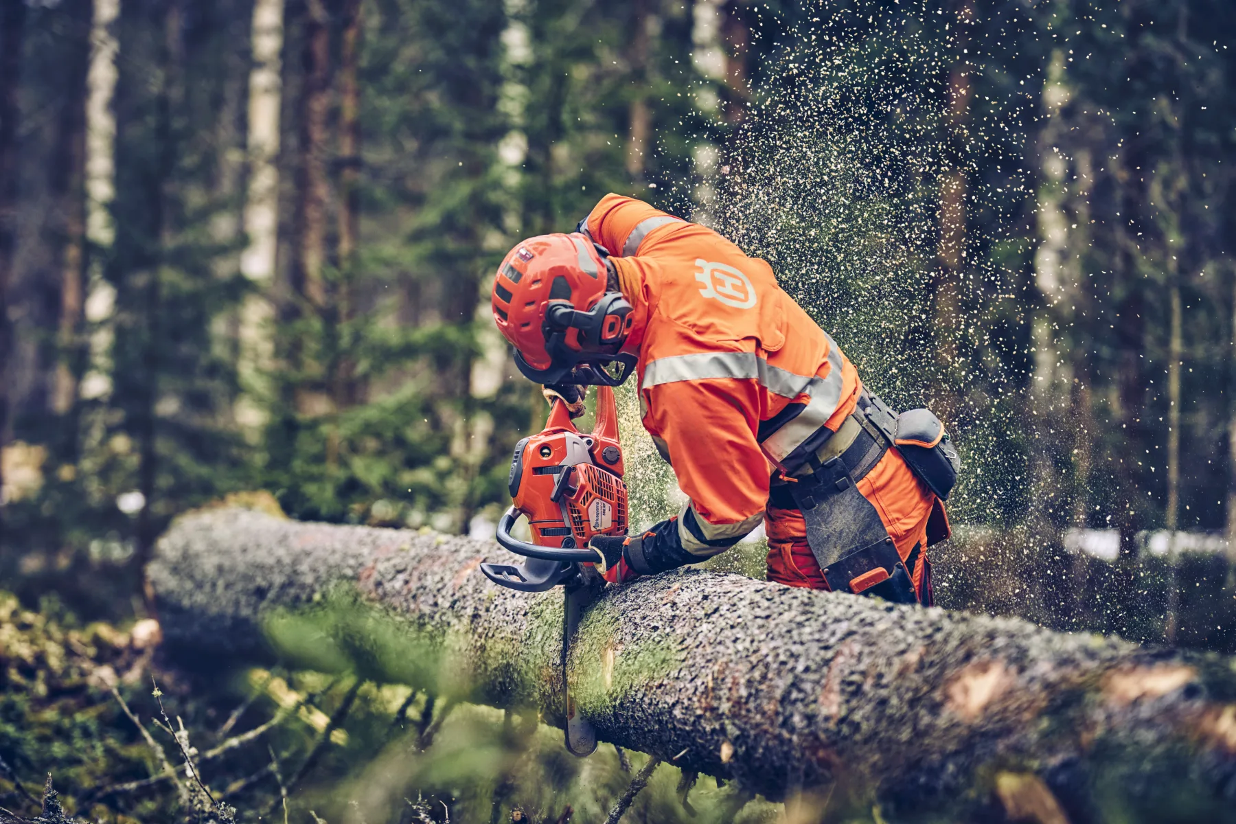 Husqvarna 560 XP® G Mark II