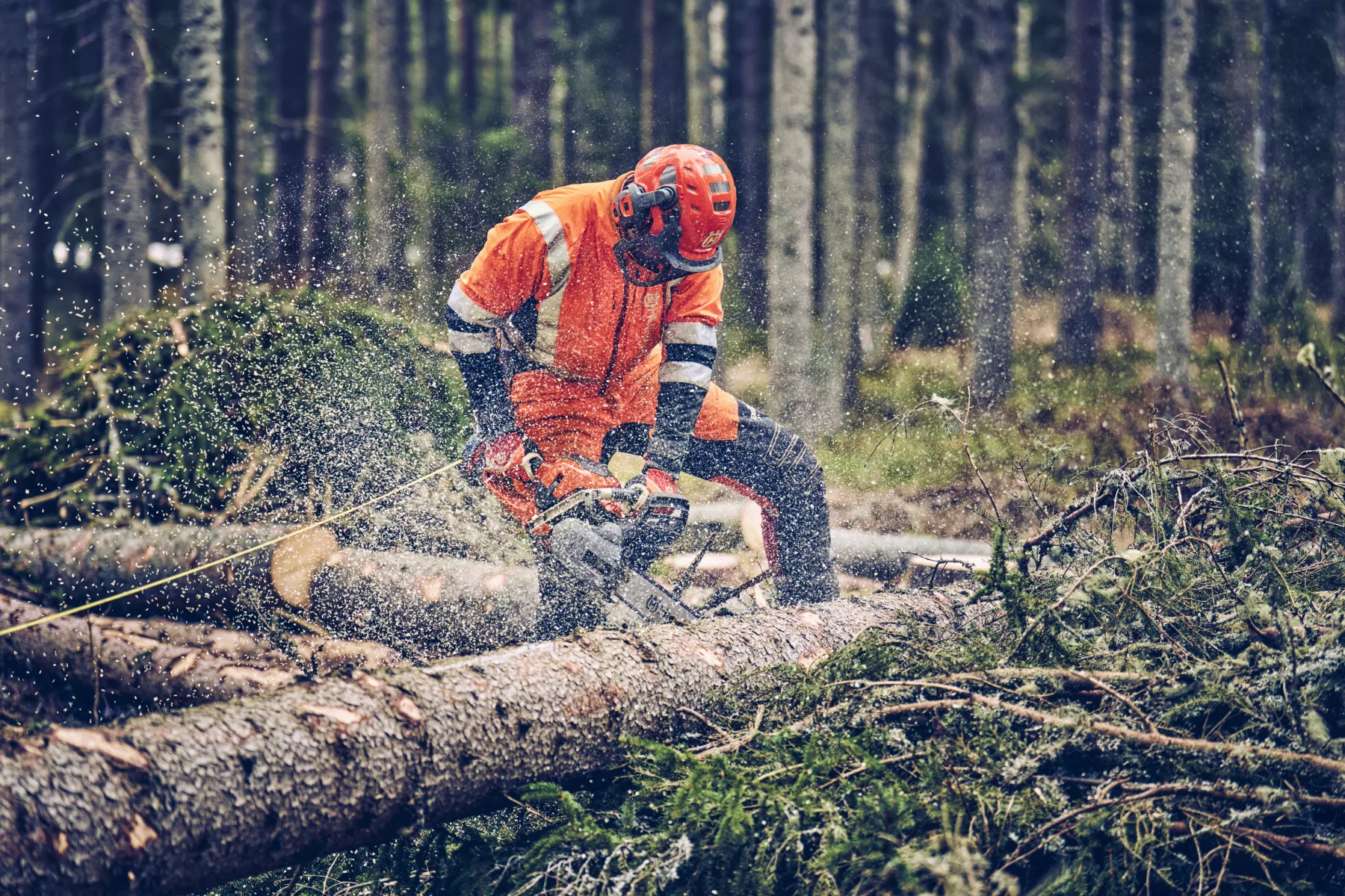 Husqvarna 560 XP® Mark II