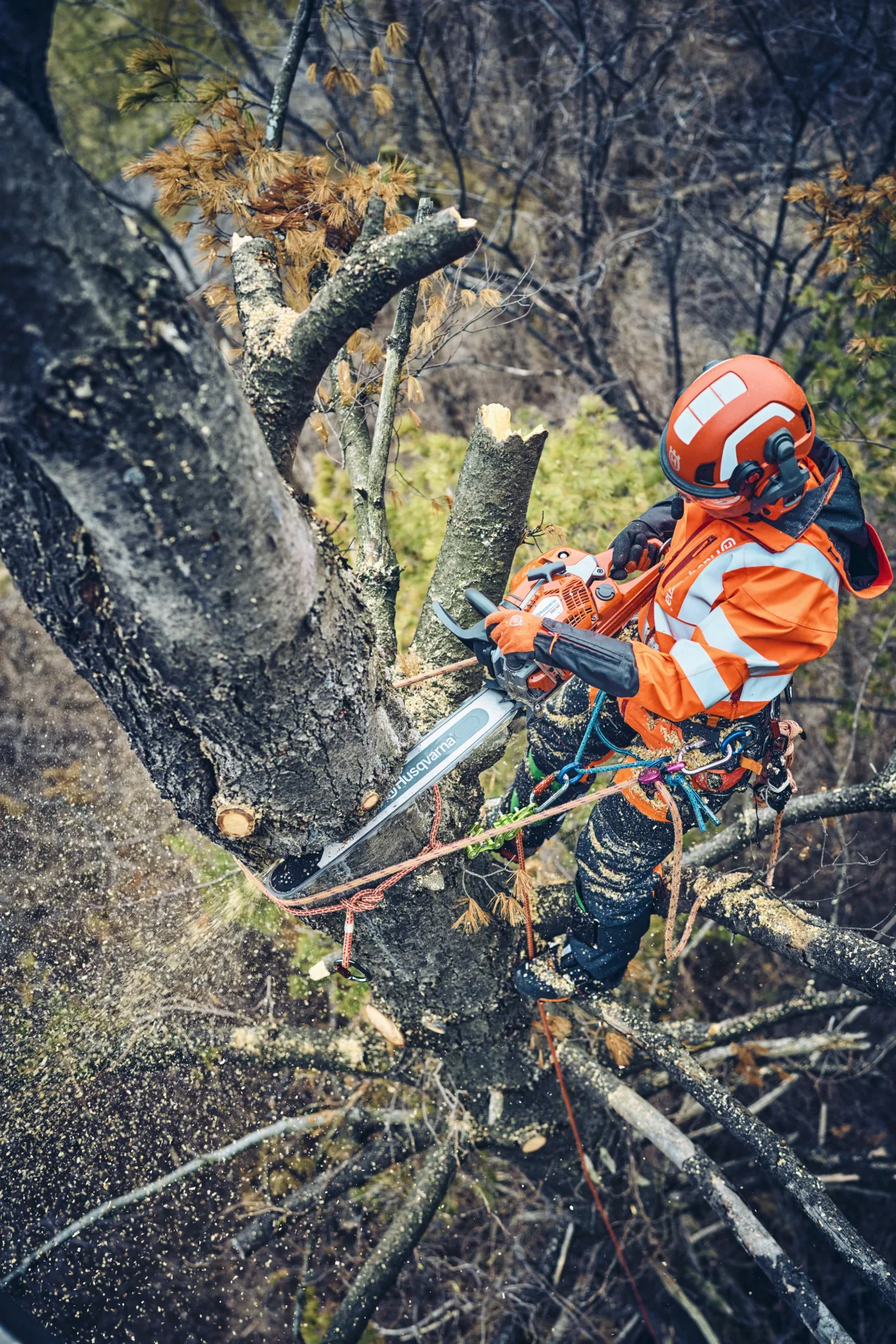 Husqvarna 560 XP® Mark II