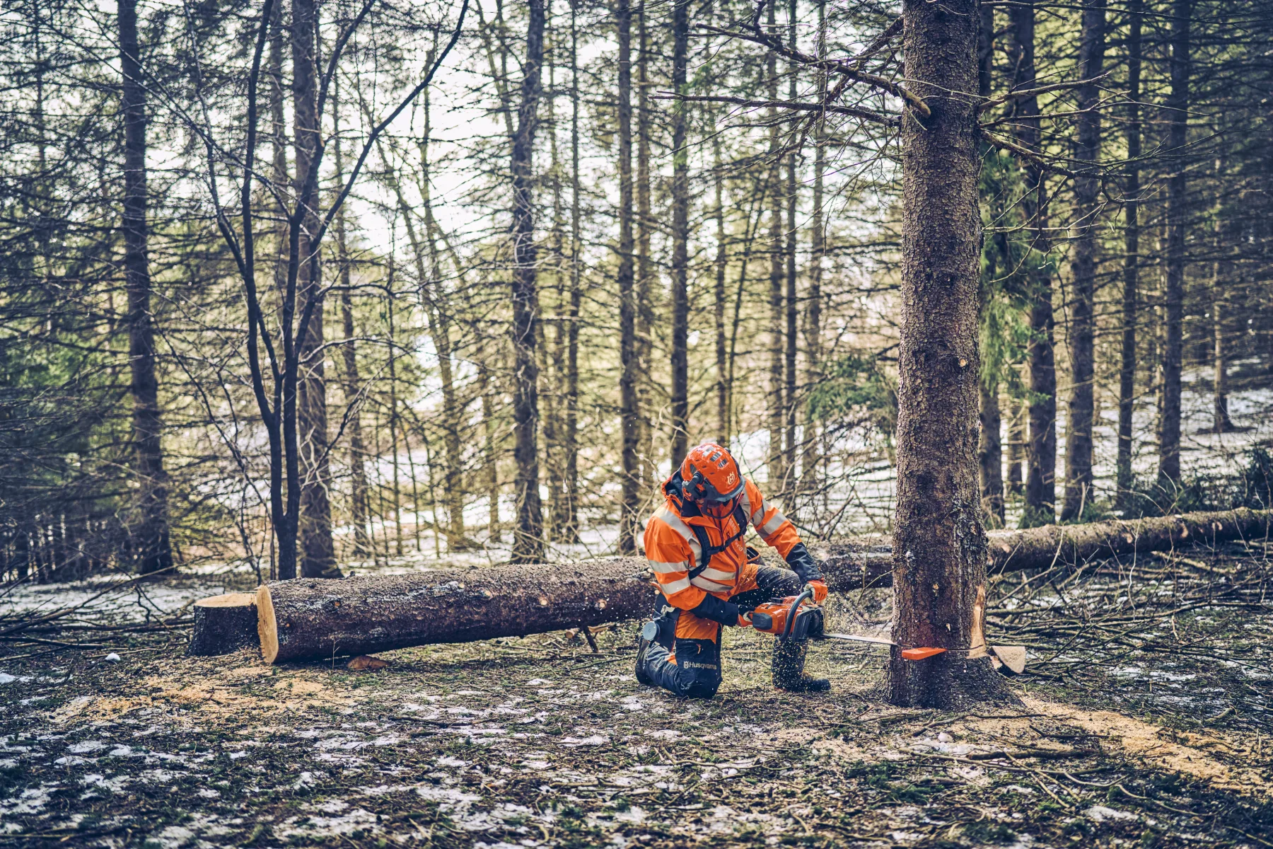 Husqvarna 562 XP® Mark II