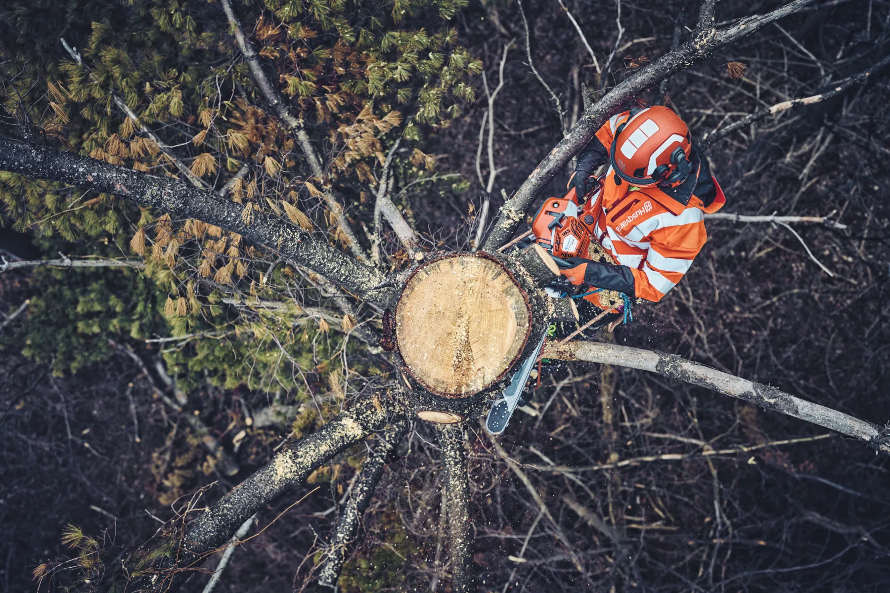 Husqvarna 562 XP® Mark II