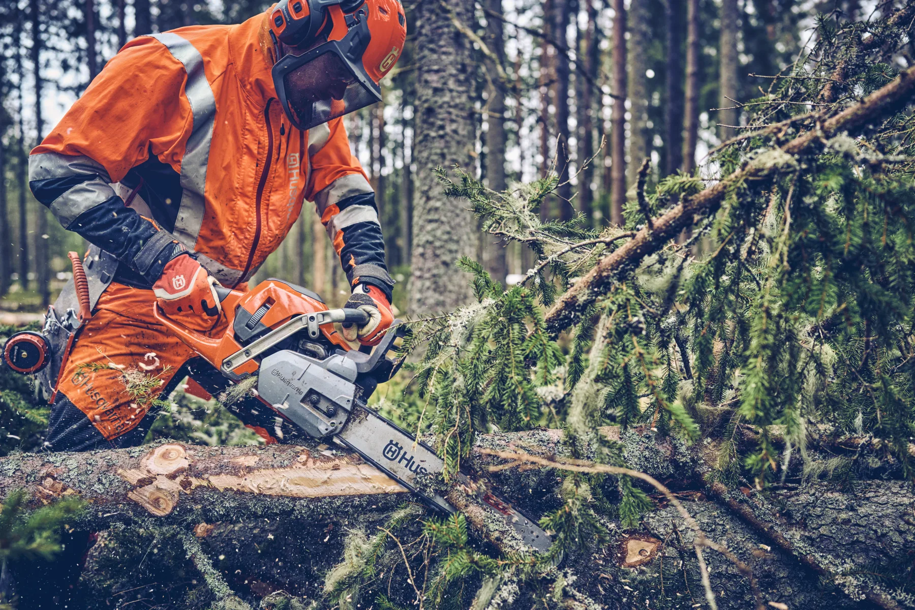 Husqvarna 562 XP® Mark II