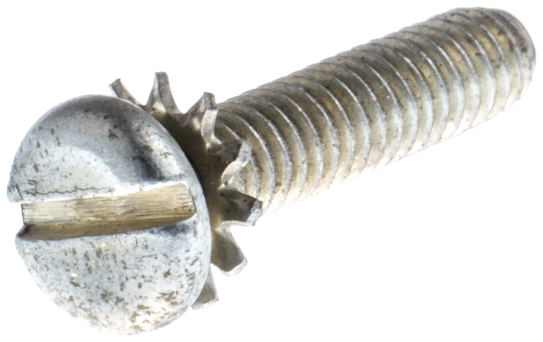 SCREW