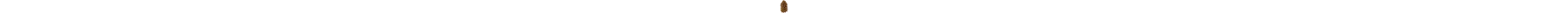 ZÁSLEPKA