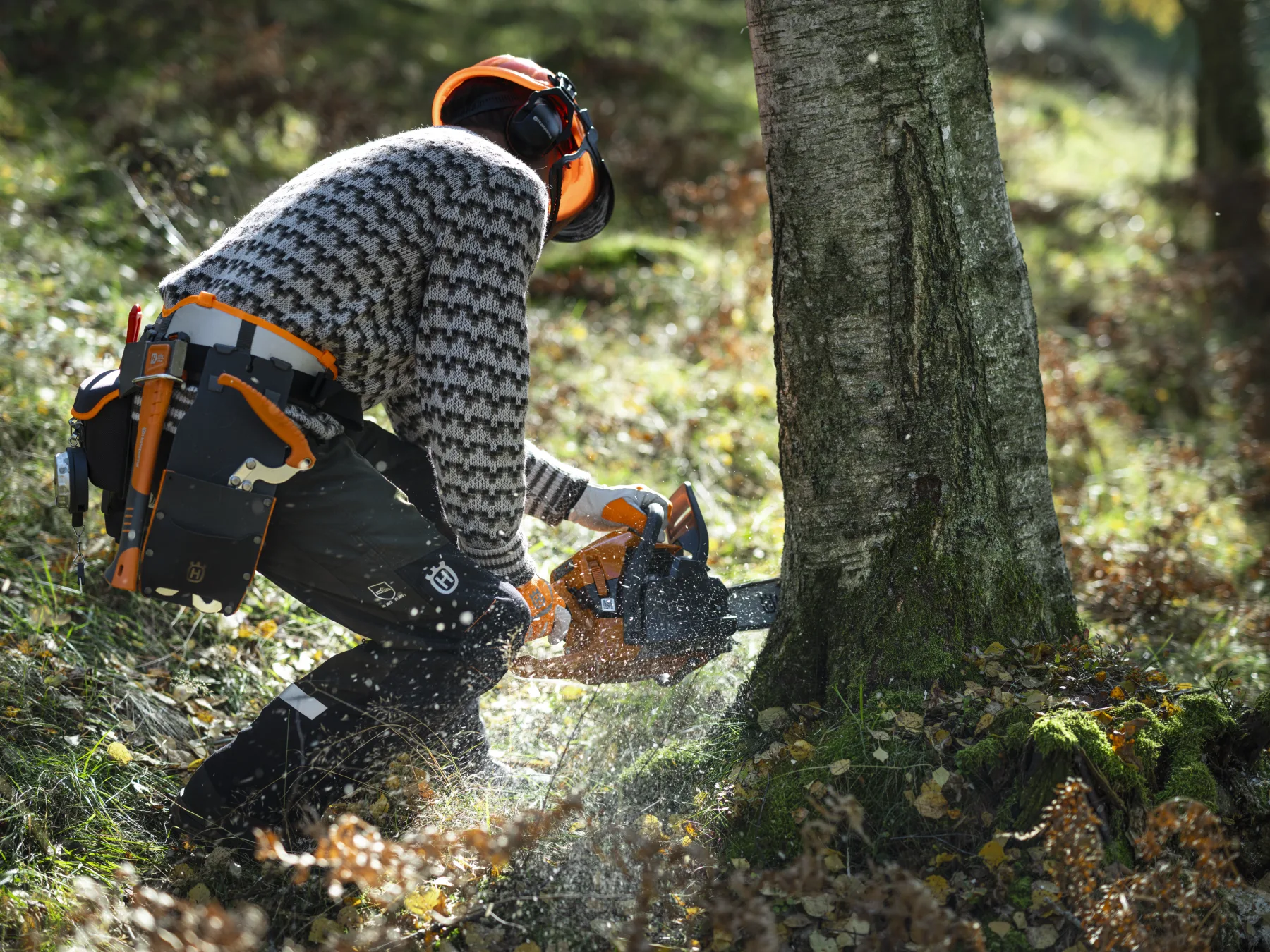 Husqvarna 450S