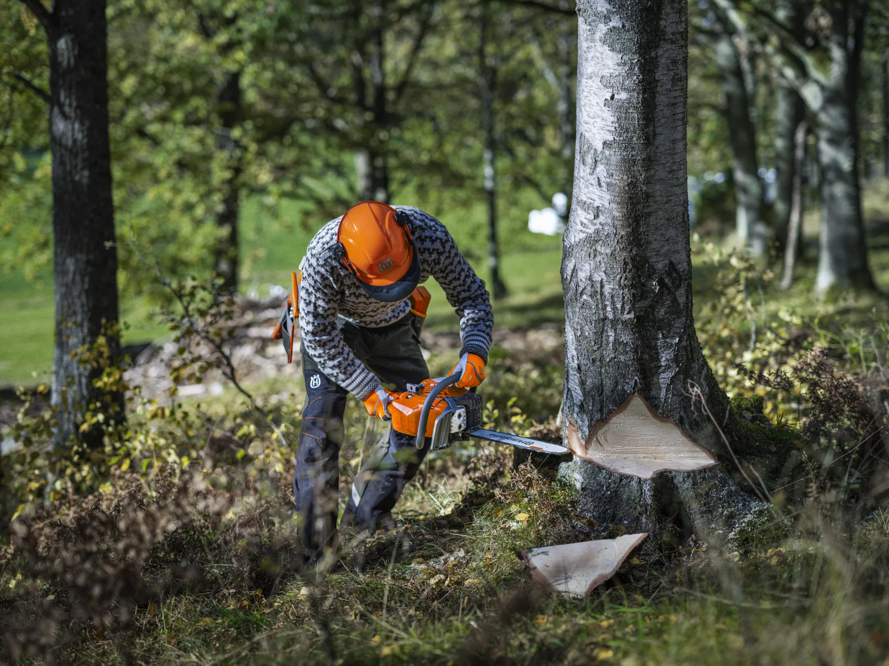 Husqvarna 450S