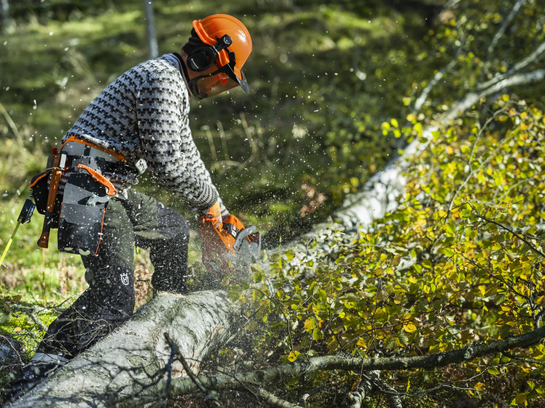 Husqvarna 450S