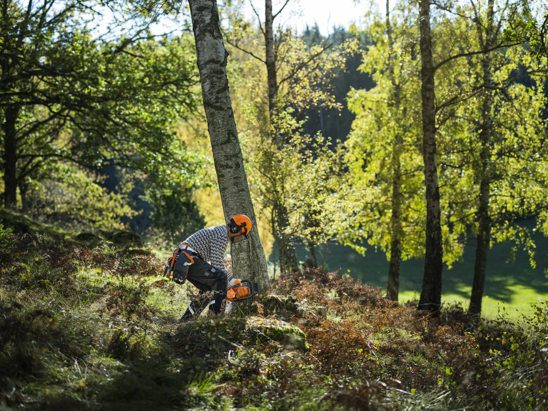 Husqvarna 450S