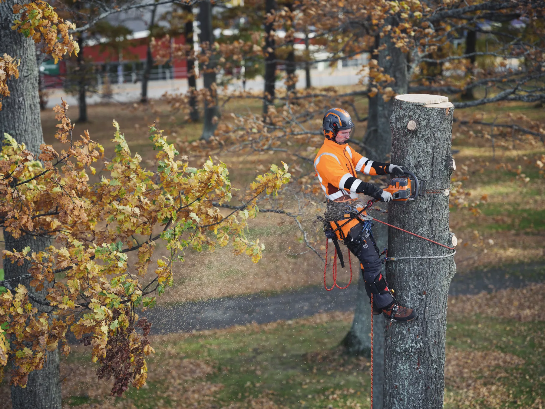 Husqvarna 550i XP®