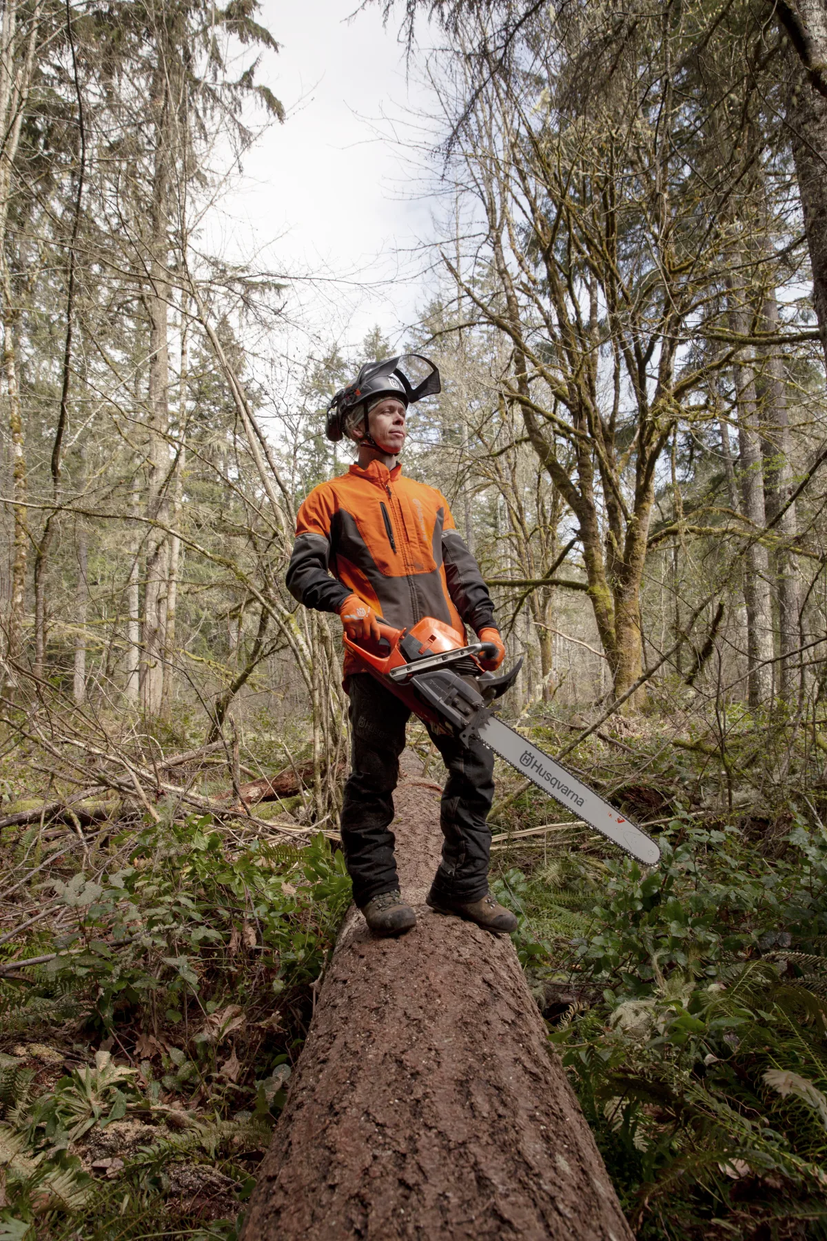 HUSQVARNA 585