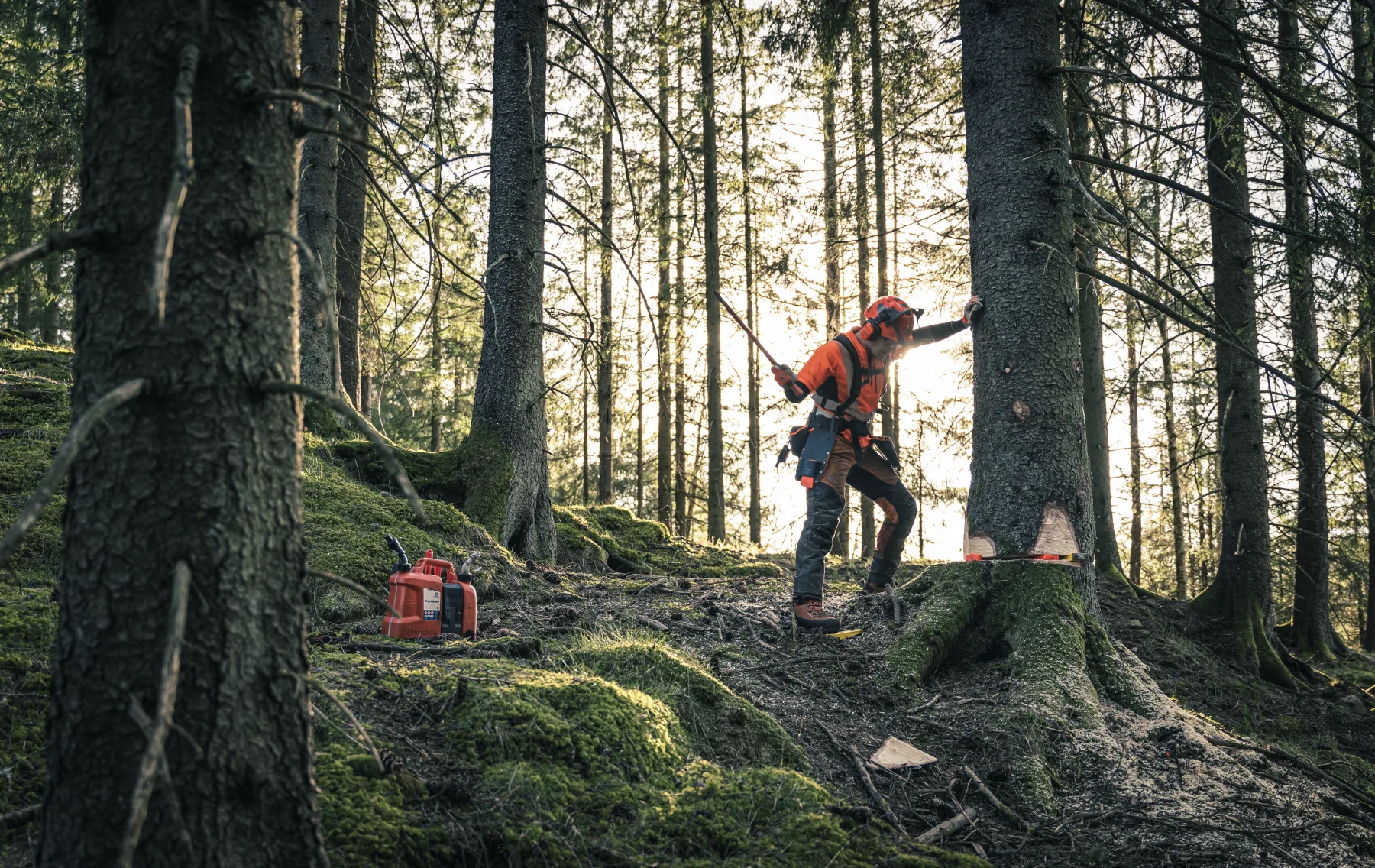 HUSQVARNA 572 XP®