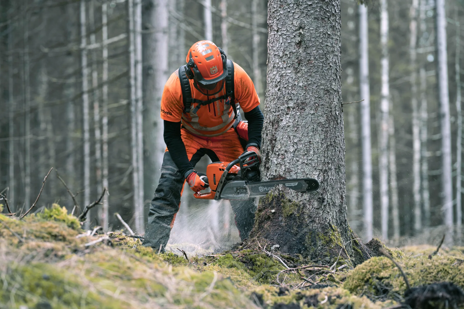 HUSQVARNA 572 XP®