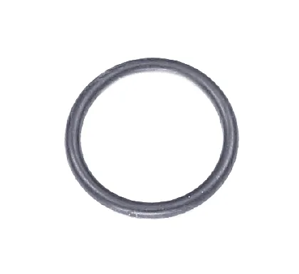O-RING / SEAL