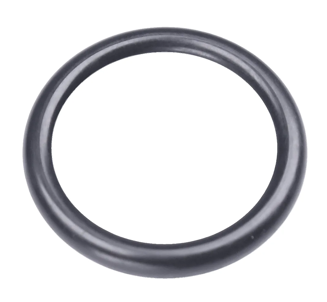 O-RING 21.82X3.53