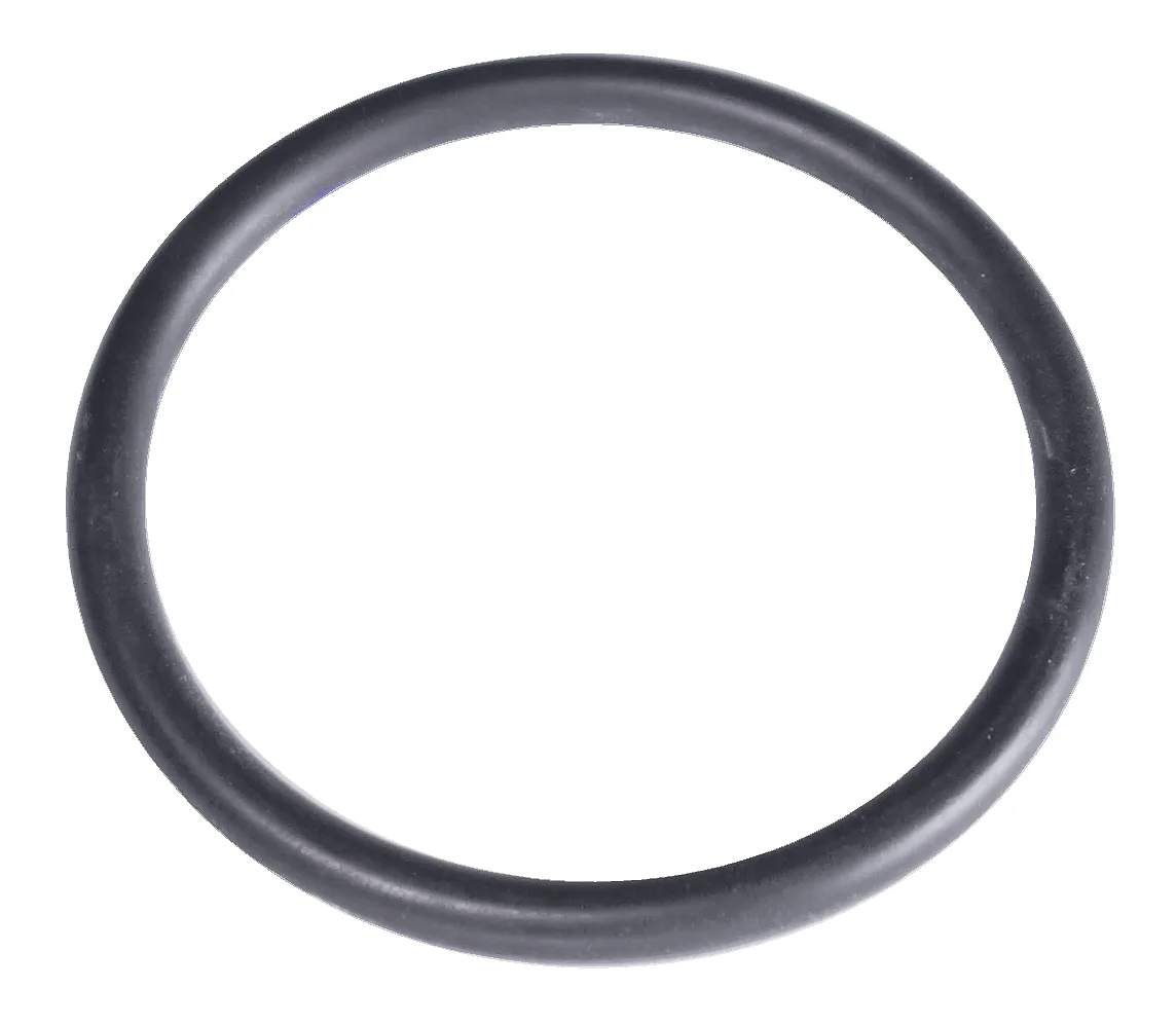 O-RING 1"