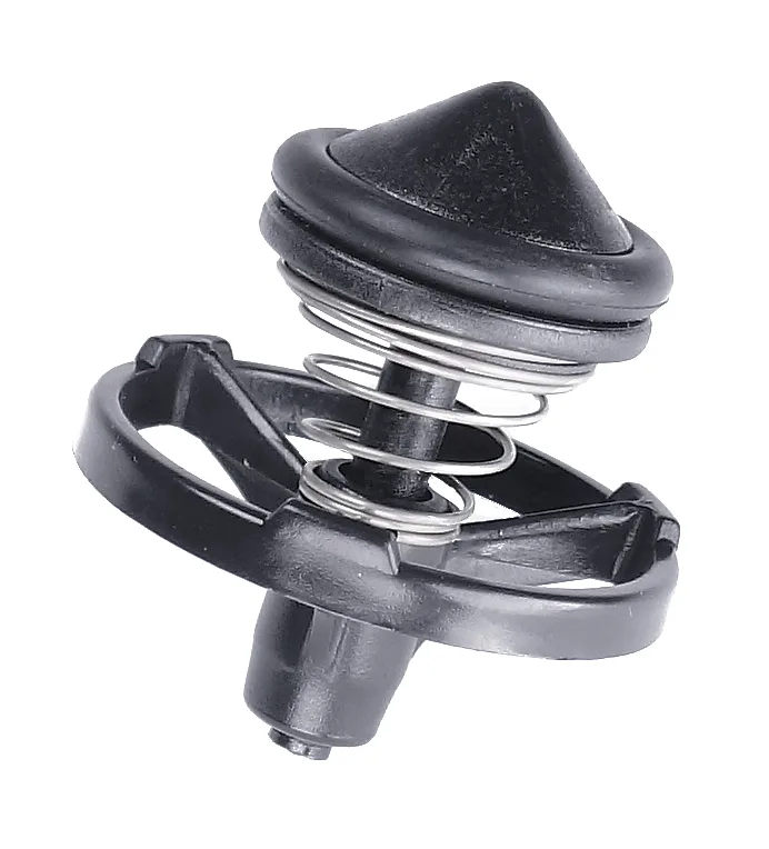 NON-RETURN VALVE CPL.