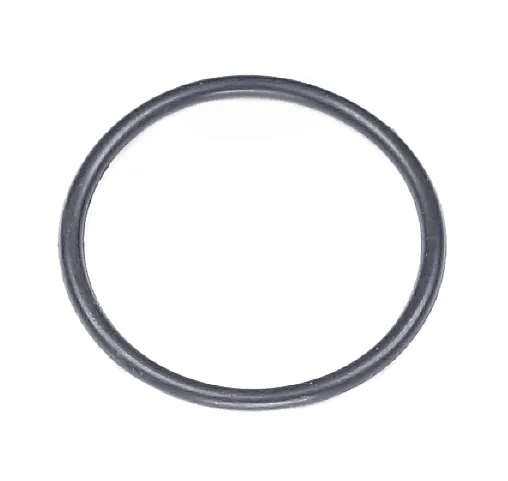 O-RING 1"